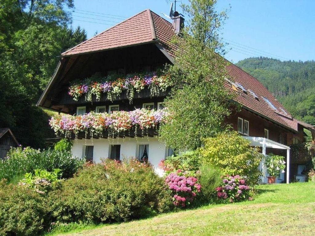 Haus Schneider Διαμέρισμα Gutach Εξωτερικό φωτογραφία