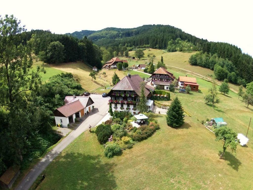 Haus Schneider Διαμέρισμα Gutach Εξωτερικό φωτογραφία